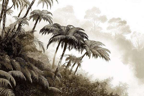 Group of palm trees in a forest Group of palm trees in a forest