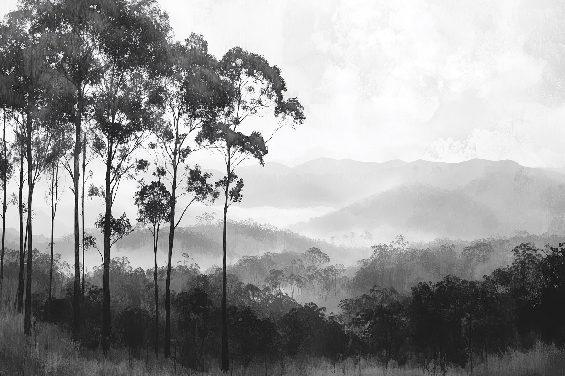Forest with trees and mountains in the background Forest with trees and mountains in the background