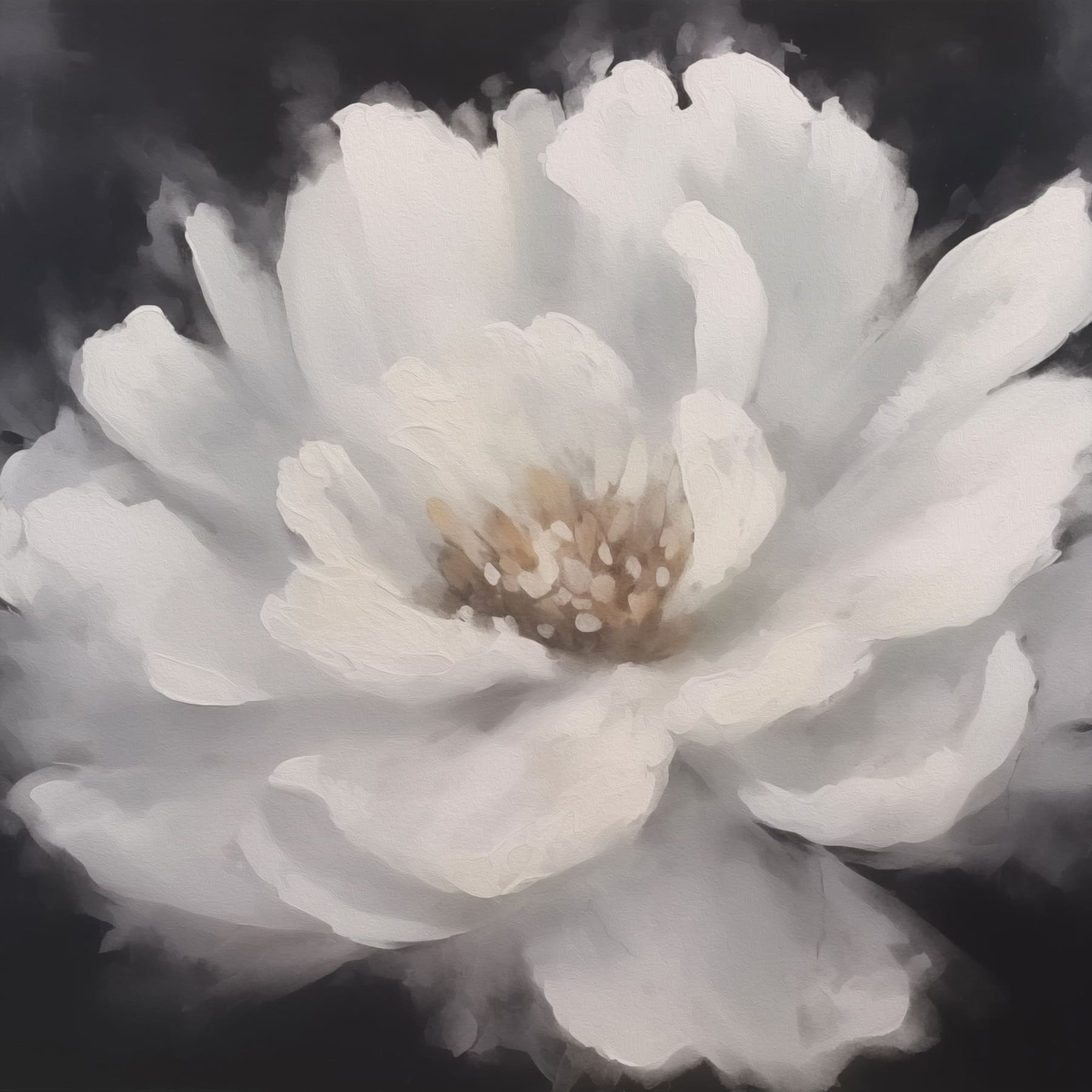 White flower with yellow center