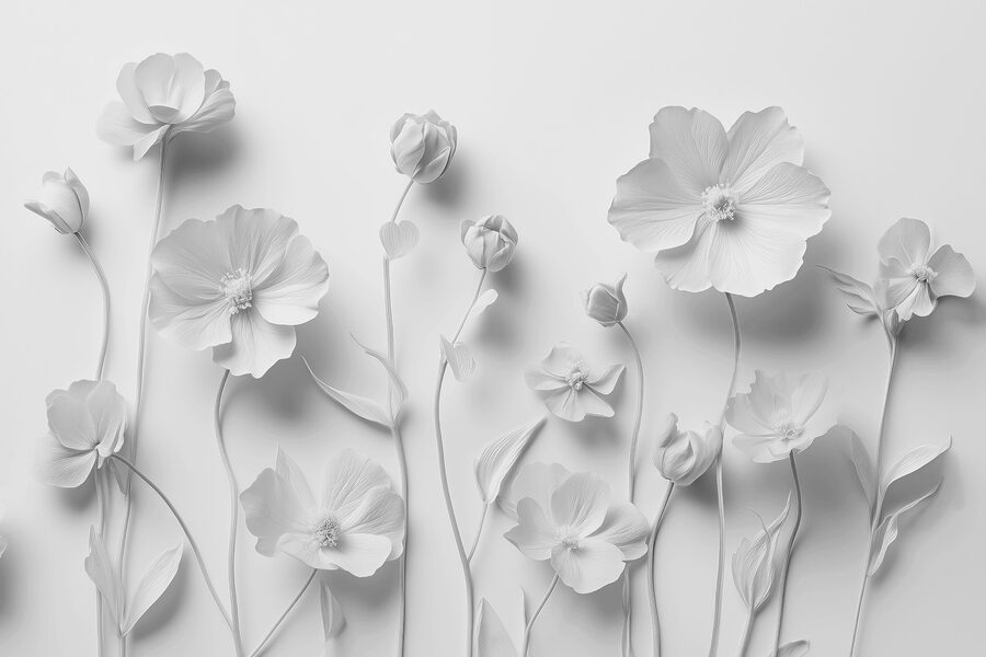 Gruppo di fiori bianchi