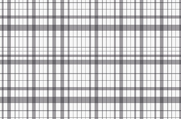 Plaid grigio e bianco Plaid grigio e bianco