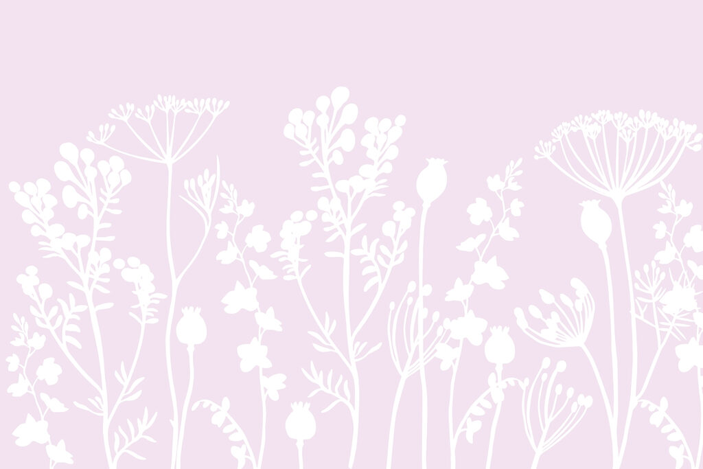 Fiori e foglie bianche su sfondo rosa Fiori e foglie bianche su sfondo rosa