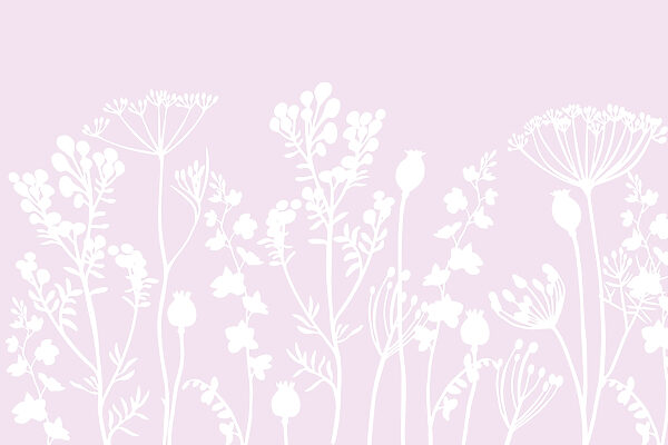 Fiori e foglie bianche su sfondo rosa Fiori e foglie bianche su sfondo rosa