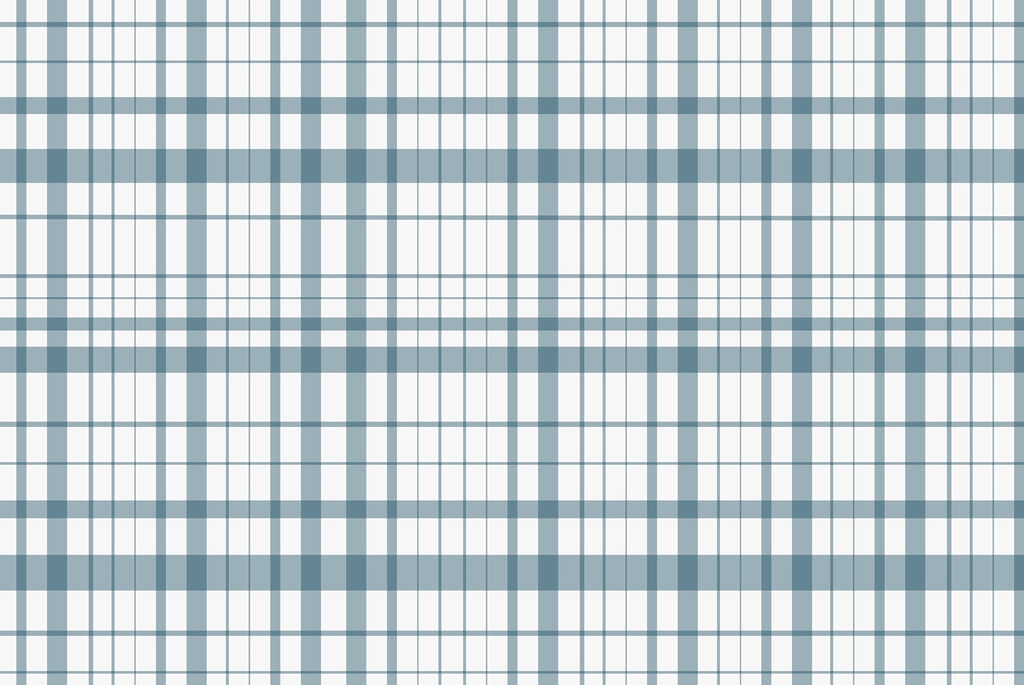 Plaid blu e bianco Plaid blu e bianco