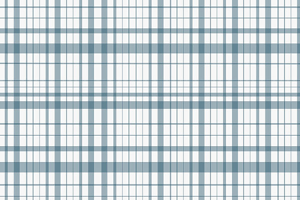 Plaid blu e bianco Plaid blu e bianco