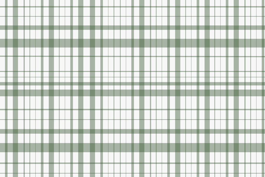Plaid verde e bianco Plaid verde e bianco