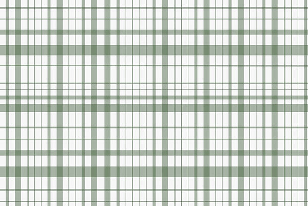 Plaid verde e bianco Plaid verde e bianco