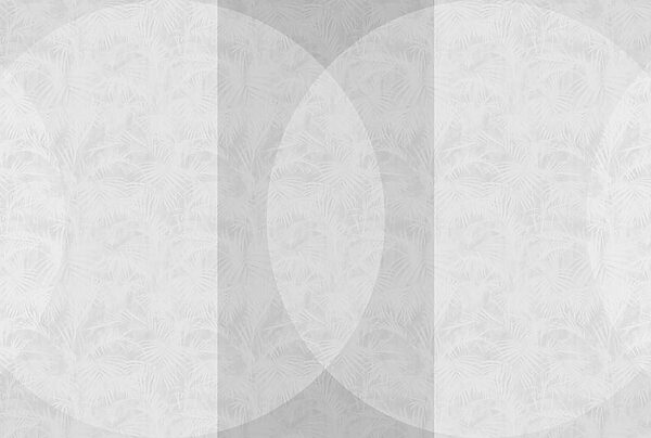 Sfondo bianco e grigio Sfondo bianco e grigio