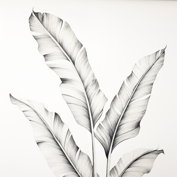 Disegno di una pianta Disegno di una pianta