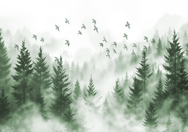 Uccelli in volo su una foresta Uccelli in volo su una foresta