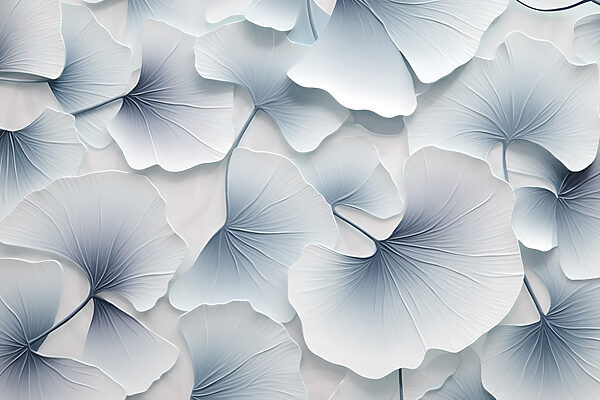 Delicate layers of ginkgo leaves