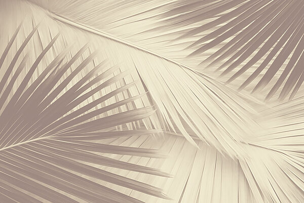 Nature's texture in soft tones