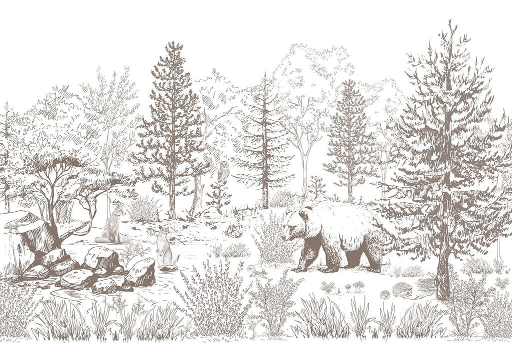 Orso a passeggio nel bosco Orso a passeggio nel bosco