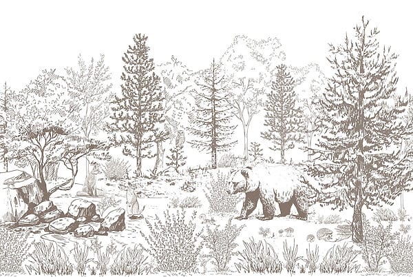 Orso a passeggio nel bosco Orso a passeggio nel bosco