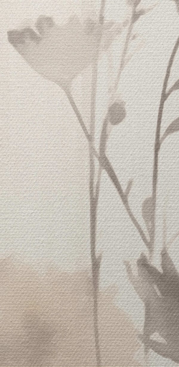 Delicate blossoms in soft hues Delicate blossoms in soft hues