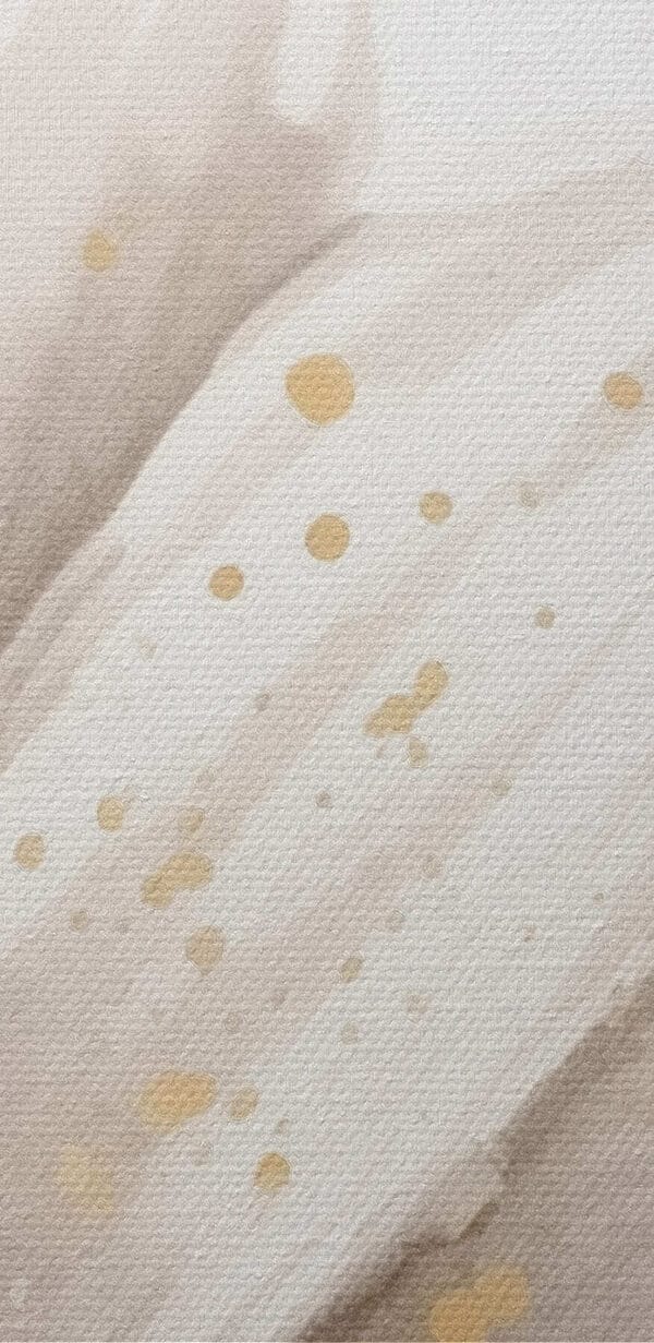 Floral elegance in soft tones