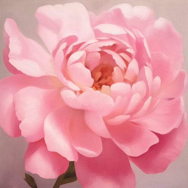 Delicate petals in soft pink hues