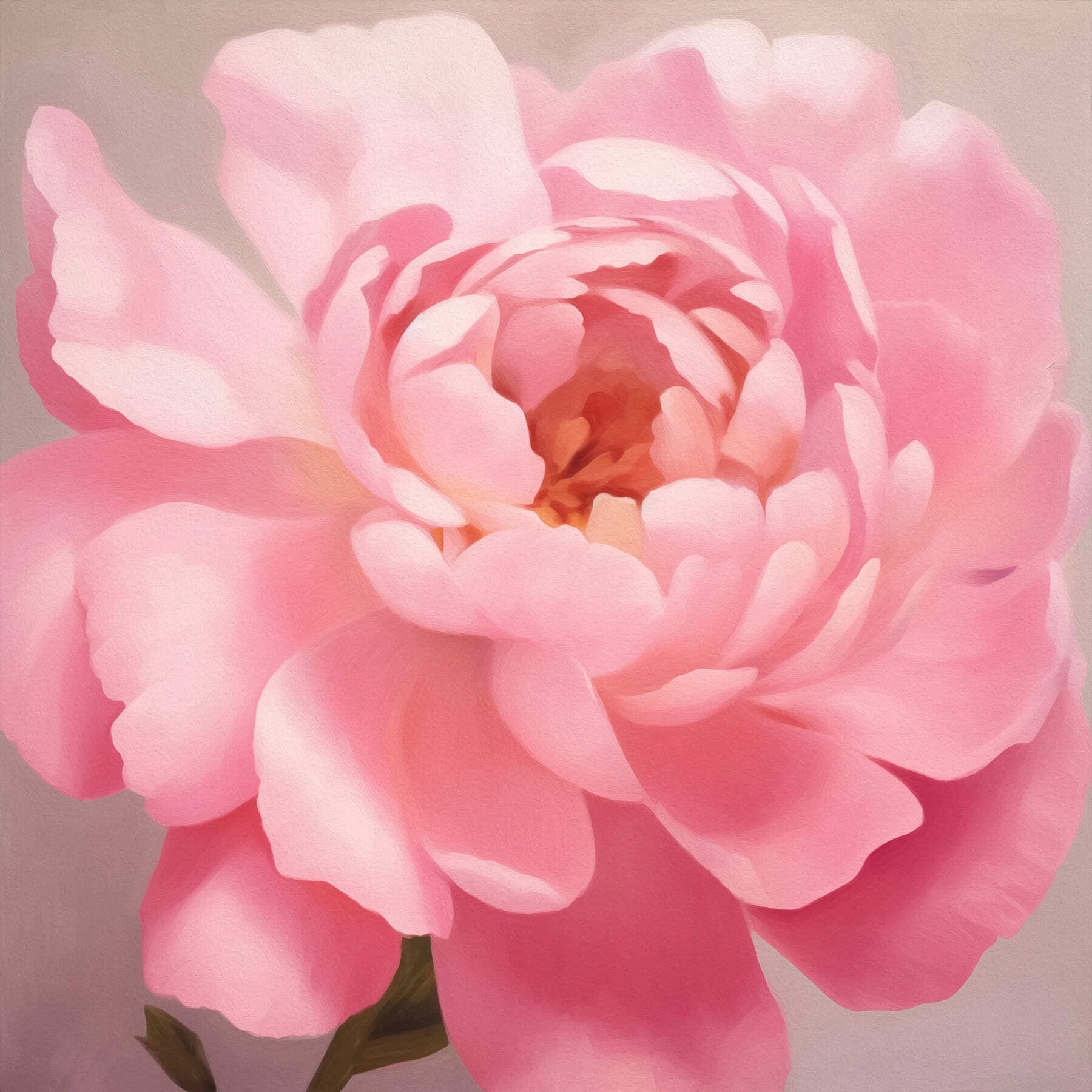 Delicate petals in soft pink hues