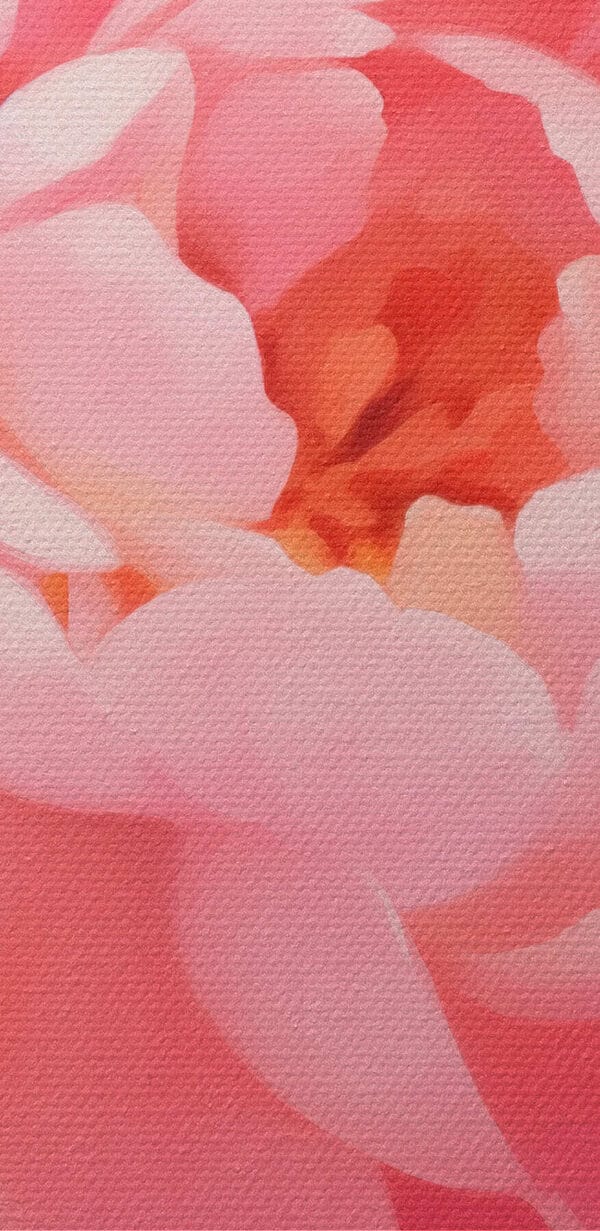 Delicate petals in soft pink hues