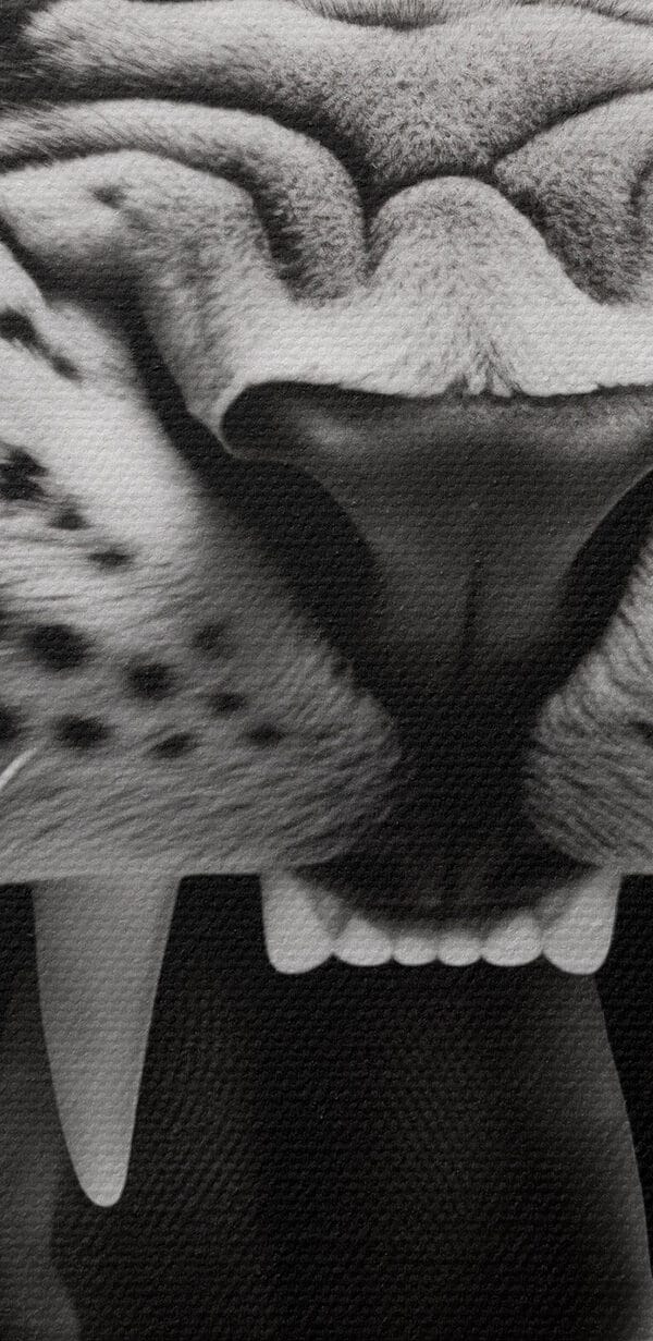 Fierce roar of a majestic predator Fierce roar of a majestic predator