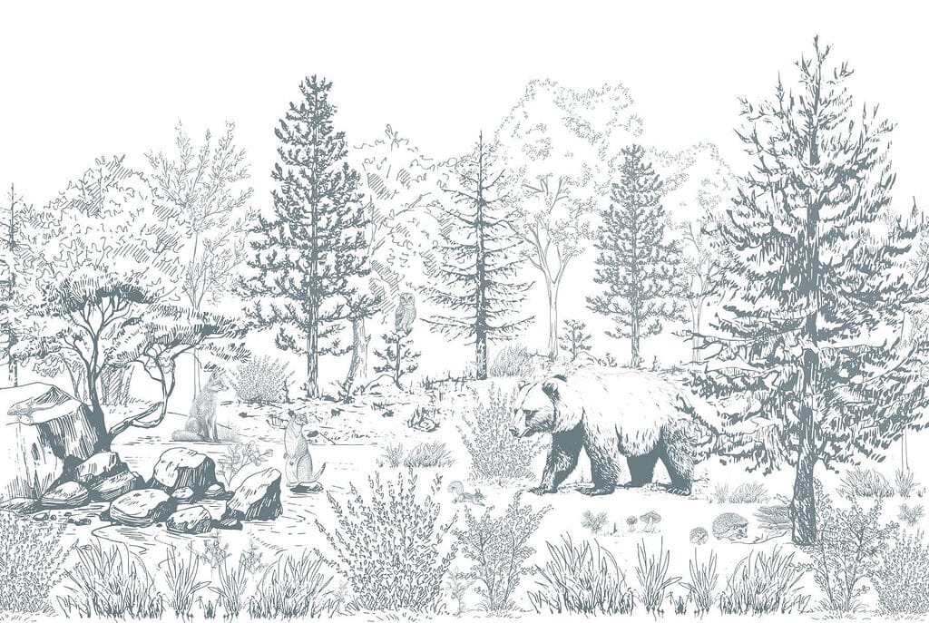 Orso nel bosco Orso nel bosco