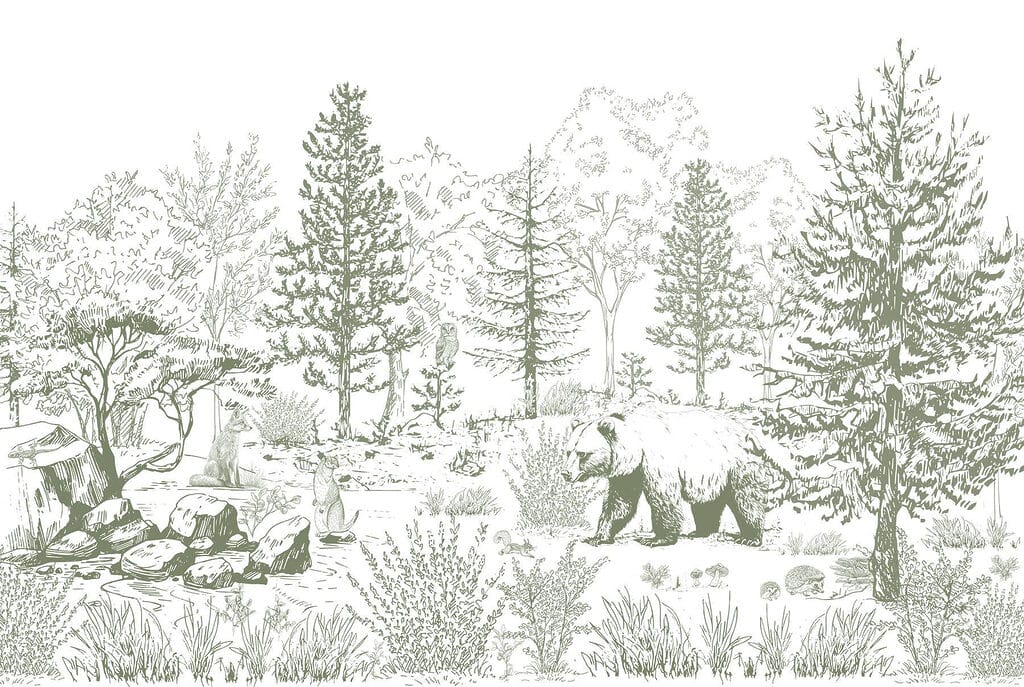 Disegno di un orso in una foresta Disegno di un orso in una foresta