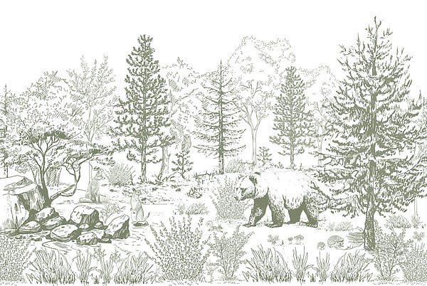 Disegno di un orso in una foresta Disegno di un orso in una foresta