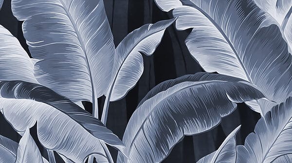 L'eleganza della natura in tonalità monocromatiche L'eleganza della natura in tonalità monocromatiche