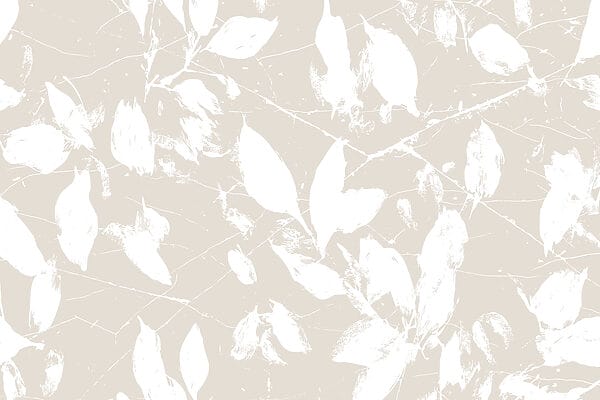 Foglie bianche su sfondo bianco Foglie bianche su sfondo bianco