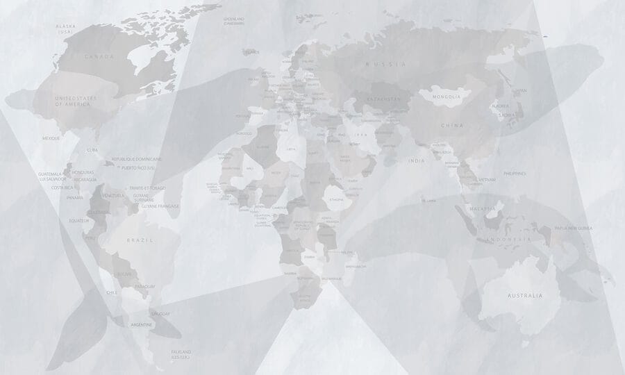Mappa del mondo