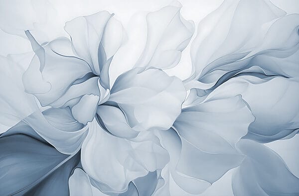 Delicati petali dalle tonalità tenui Delicati petali dalle tonalità tenui