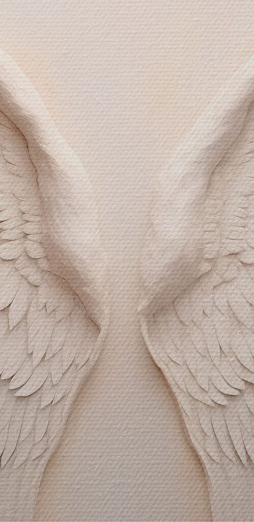Pair of white wings