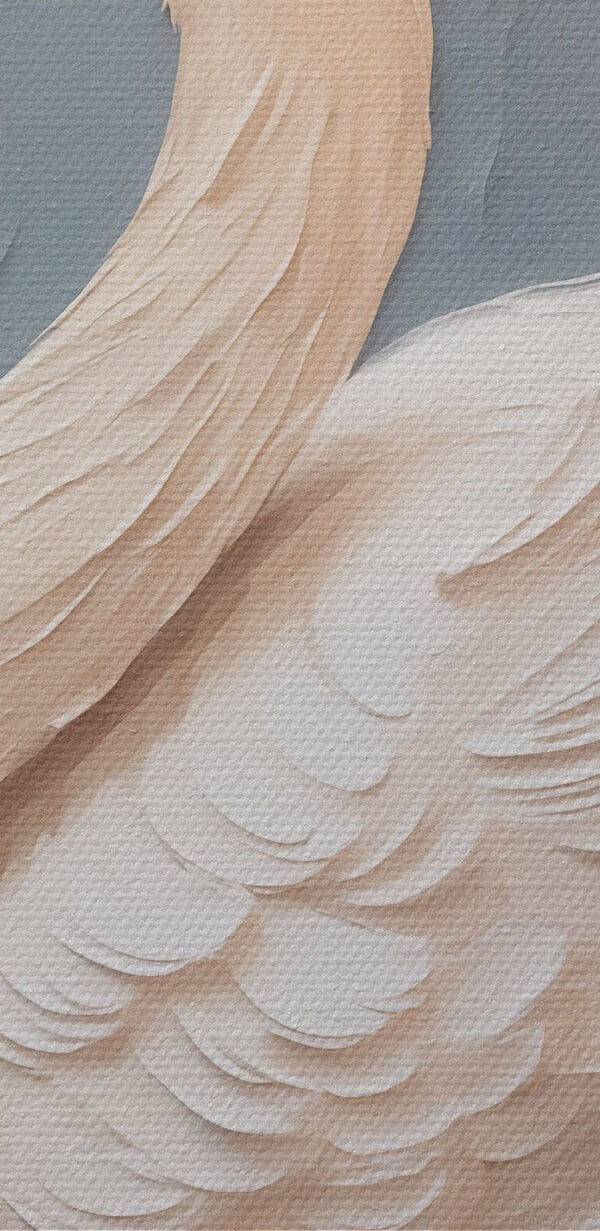 White swan with a black beak White swan with a black beak