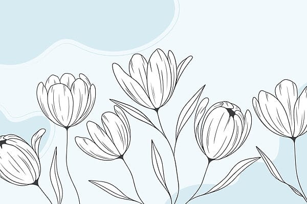 Disegno lineare di fiori Disegno lineare di fiori