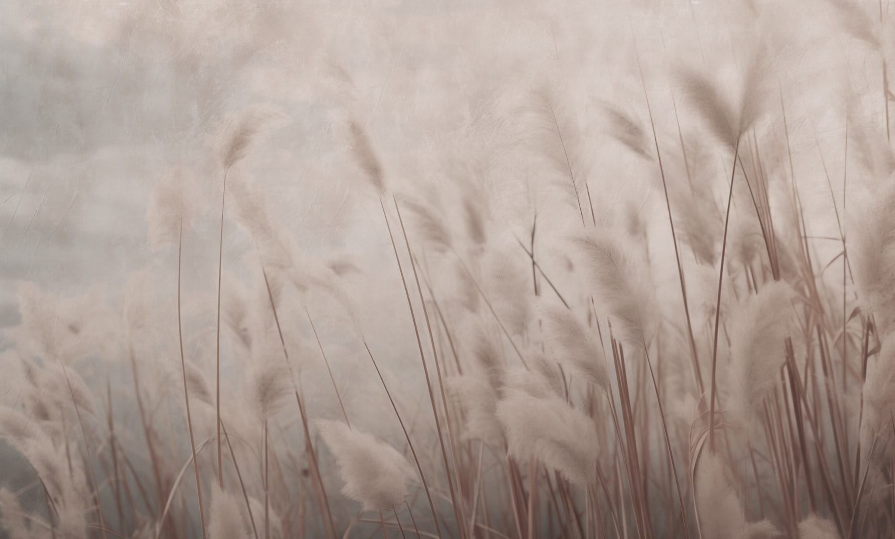 Gentle whispers of swaying grass