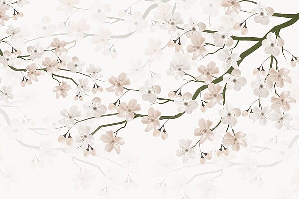 Fiori bianchi su un ramo Fiori bianchi su un ramo