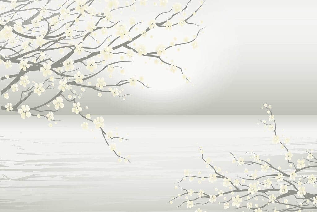 Albero con fiori bianchi Albero con fiori bianchi