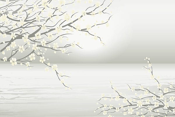 Albero con fiori bianchi Albero con fiori bianchi