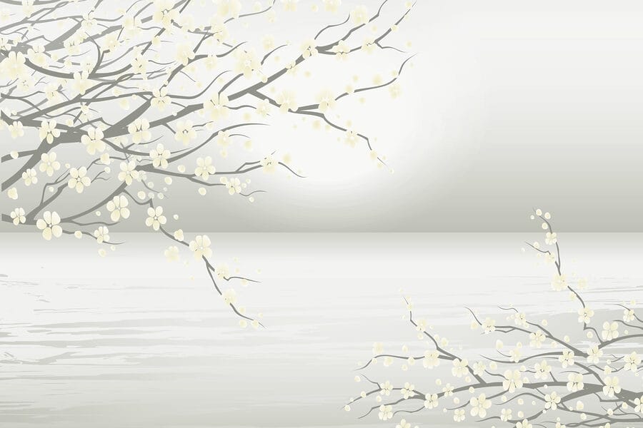 Albero con fiori bianchi