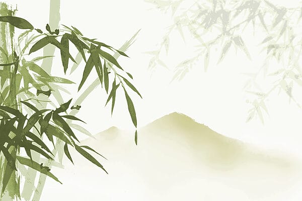 Una leggera brezza tra le foglie di bambù Una leggera brezza tra le foglie di bambù