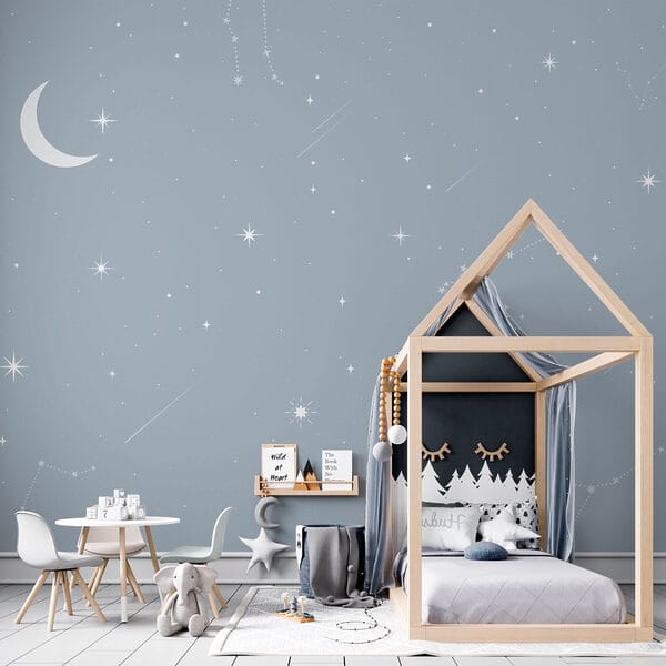 Moon and stars in the sky