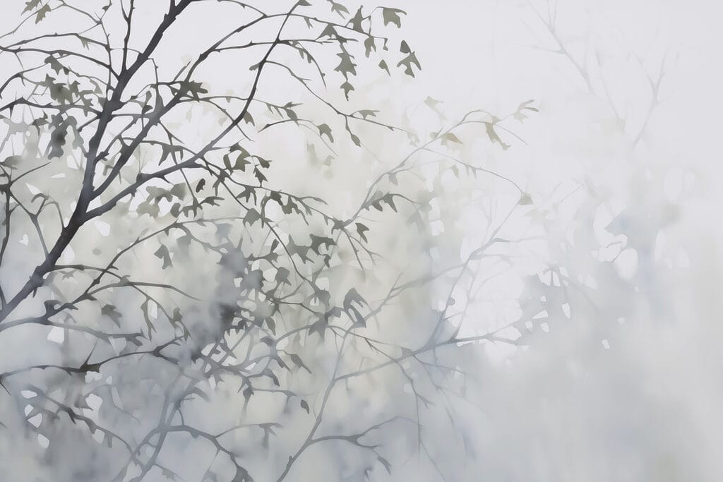 Albero con foglie nella nebbia Albero con foglie nella nebbia