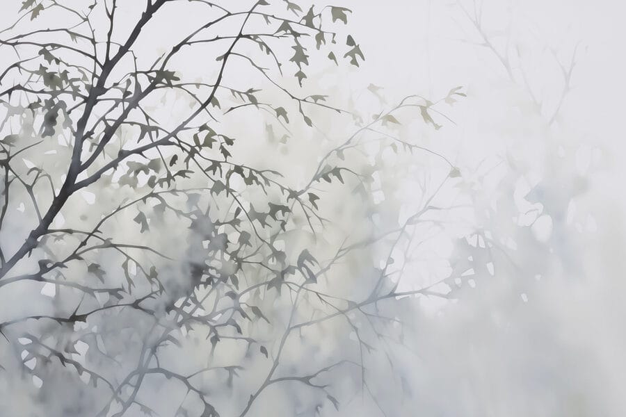 Albero con foglie nella nebbia Albero con foglie nella nebbia