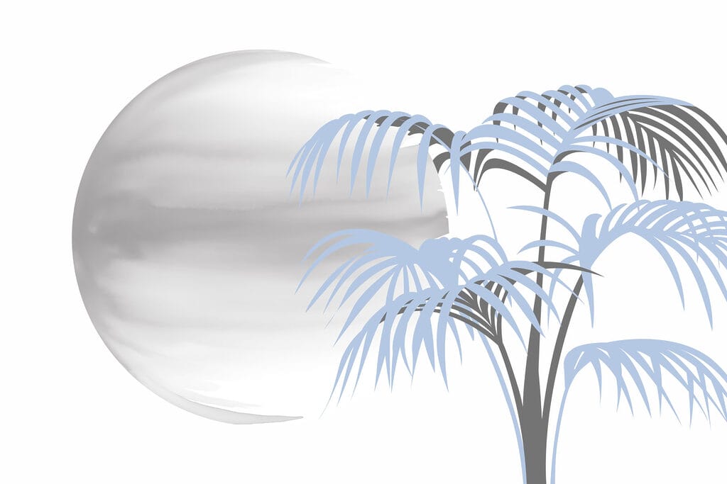 Albero con foglie e cerchio bianco rotondo Albero con foglie e cerchio bianco rotondo