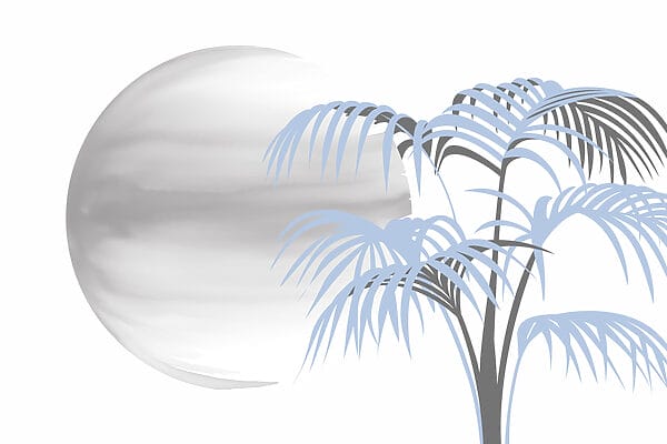 Albero con foglie e cerchio bianco rotondo Albero con foglie e cerchio bianco rotondo