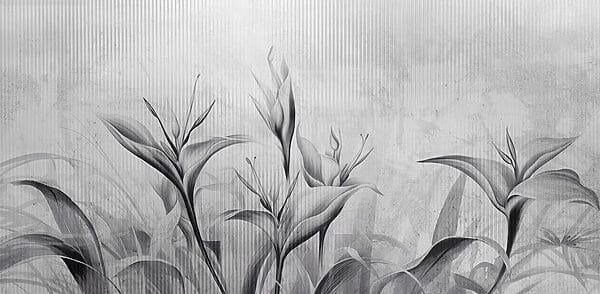 Immagine in bianco e nero di fiori Immagine in bianco e nero di fiori