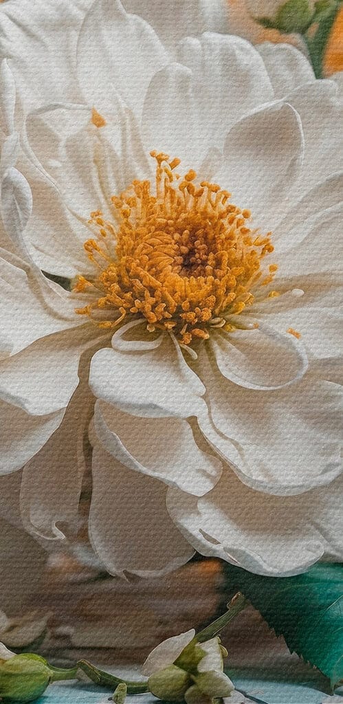 Group of white flowers