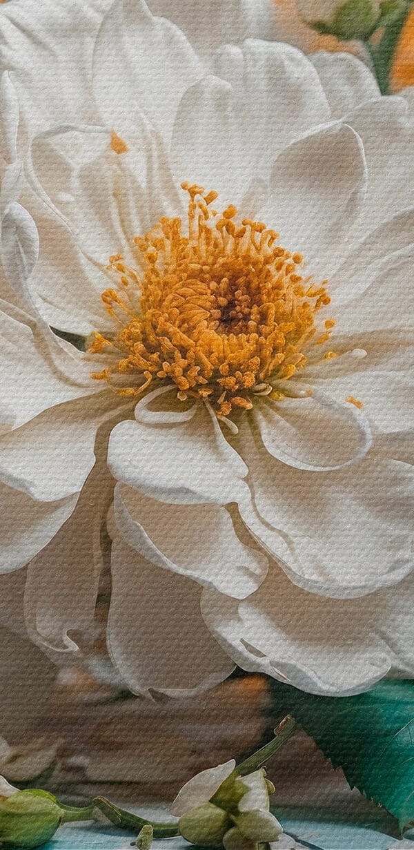 Group of white flowers