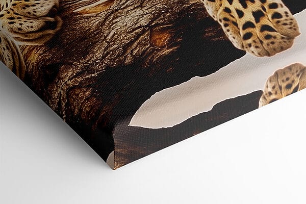 Leopard lying on a tree branch