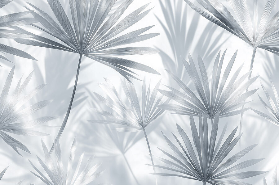 Ombre morbide di delicate foglie di palma. Ombre morbide di delicate foglie di palma.